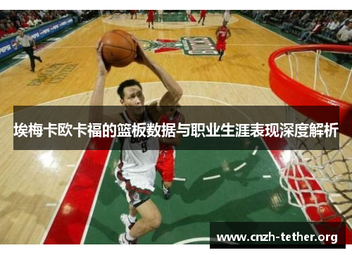 埃梅卡欧卡福的篮板数据与职业生涯表现深度解析